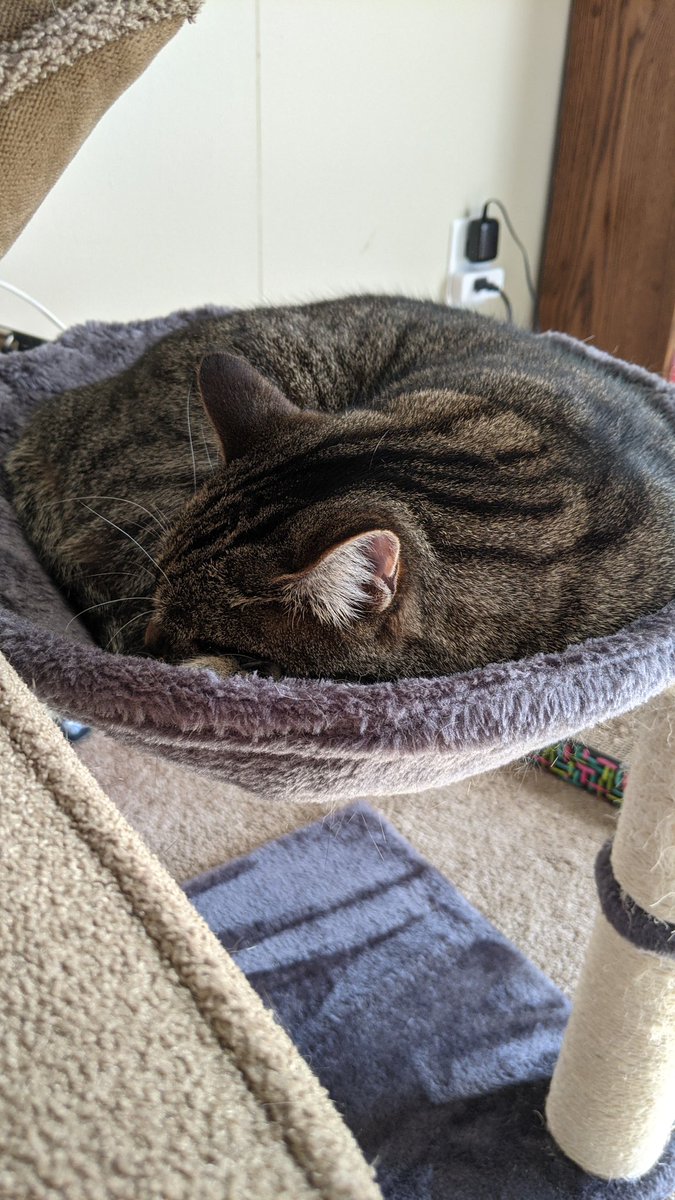 FozzNozzle's tweet photo. @coolbeansliv @KristinDohner Because I could never make something she would love as much as her bowl https://t.co/n3p5f7JiiH