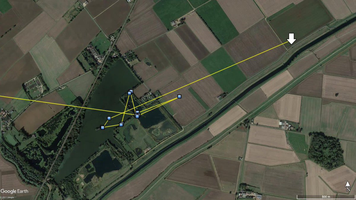 GrasmereFarm's tweet photo. Crickey! One of the Isle of Wight reintroduced White-tailed Eagles nearly flew over the farm today! And certainly spent nearly 3 hours less than a mile away! Amazing! #wildife #farmlife #birds https://t.co/5ZW5ex7Akm