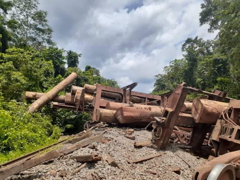 Cosa76's tweet photo. #Gabon 🤣🤣🤣Encore un déraillement de train. Alors @Proparco @AFD_France vous connaissez la politique de la terre brûlée ? Apparemment c'est à l'ordre du jour. Après les Wagon de Manganèse, c'est au Bois de subir les assauts des Resistants Gabonais
@Survie #Setrag @francediplo https://t.co/hWM8r5TDrg