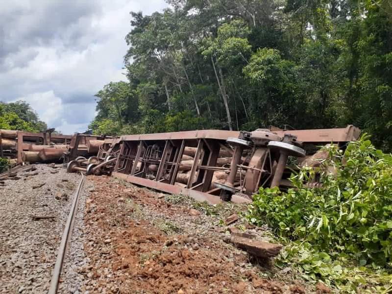 Cosa76's tweet photo. #Gabon 🤣🤣🤣Encore un déraillement de train. Alors @Proparco @AFD_France vous connaissez la politique de la terre brûlée ? Apparemment c'est à l'ordre du jour. Après les Wagon de Manganèse, c'est au Bois de subir les assauts des Resistants Gabonais
@Survie #Setrag @francediplo https://t.co/hWM8r5TDrg