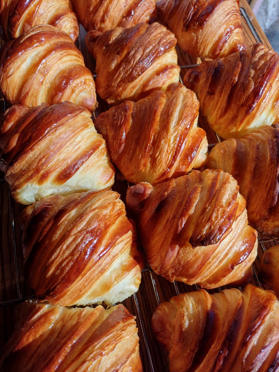 simpsinator's tweet image. making art and occasionally croissants from scratch