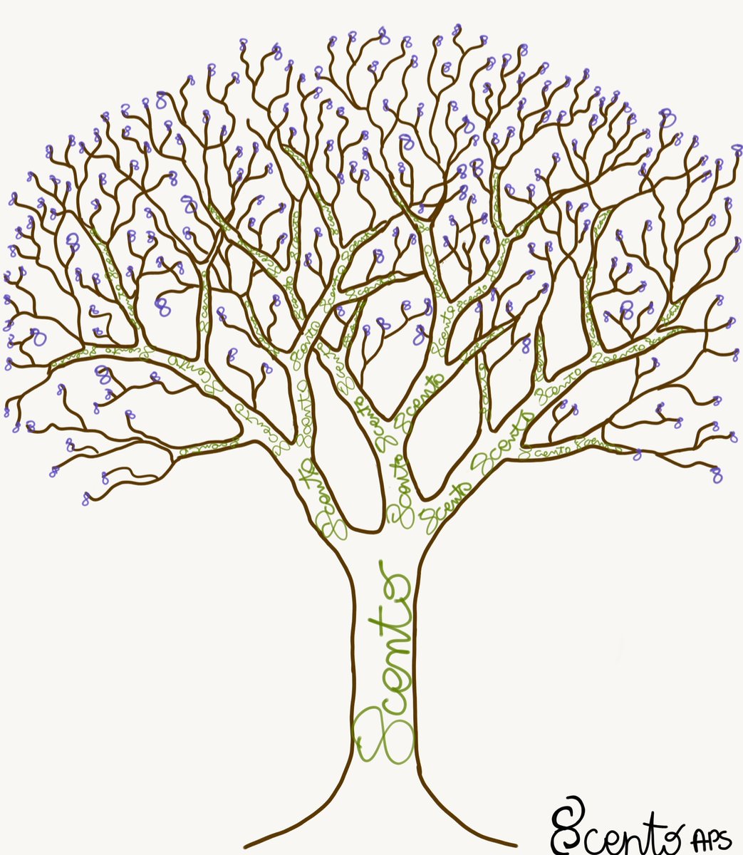 8cento_org's tweet photo. 8cento in fiore! 

#primavera #8centoresiliente https://t.co/r1wjRzRGNr