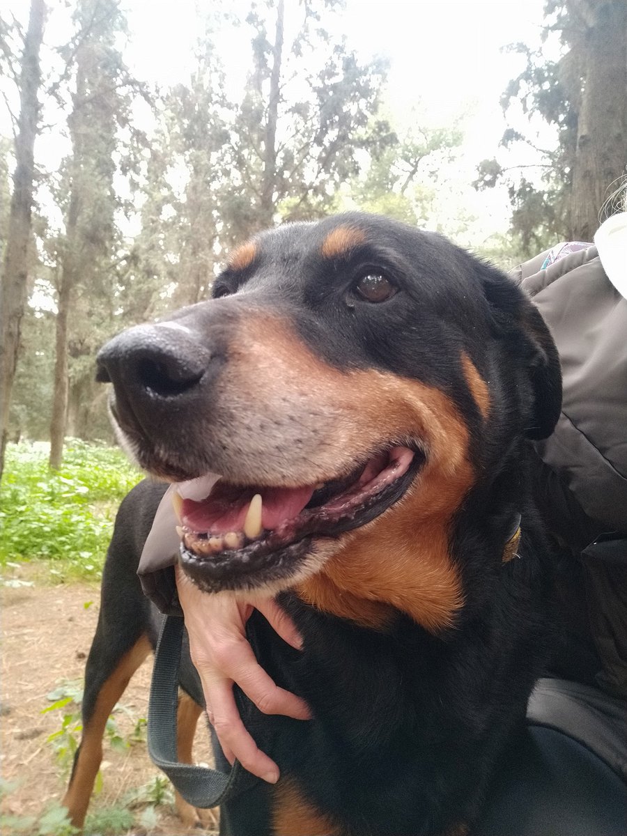 elina mpounia tweet media