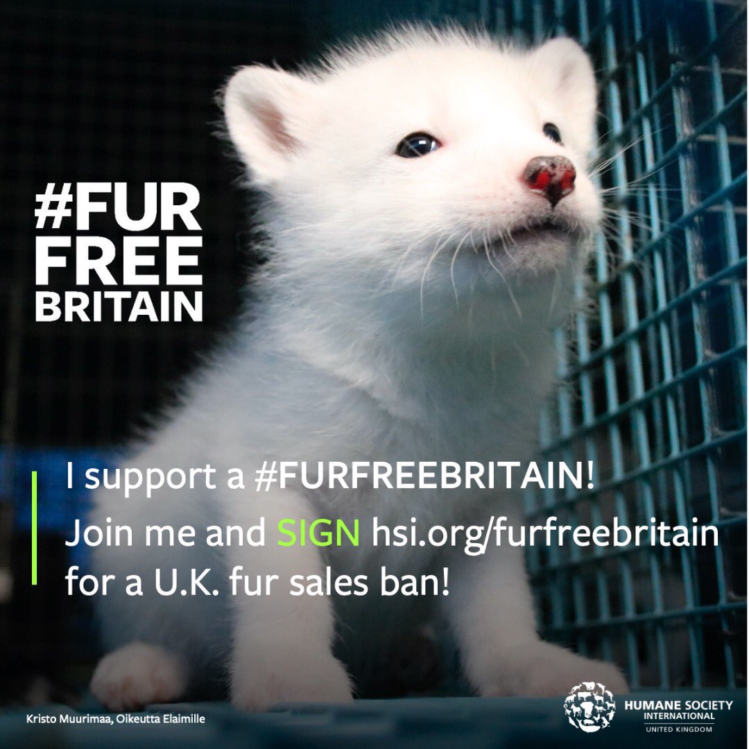 domdyer70's tweet photo. We need a fur free Britain where all imports of farmed or trapped fur is banned. No civilised nation should allow this cruel barbarism https://t.co/M8eISA7E4L