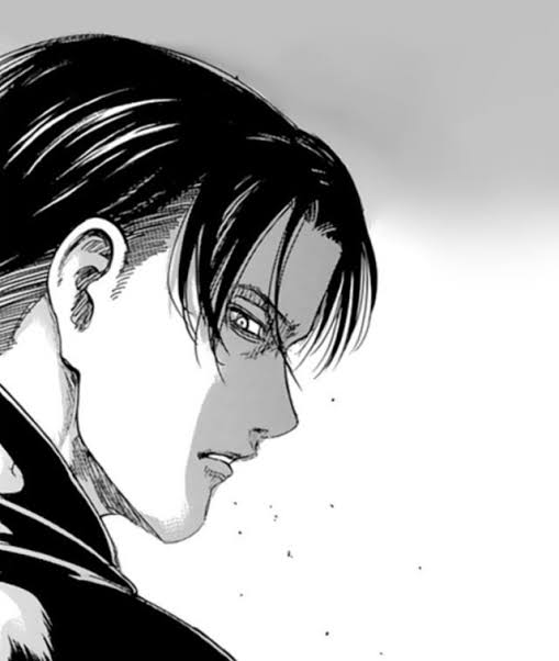 hourlylevi's tweet photo. https://t.co/SnSaXk6ELt