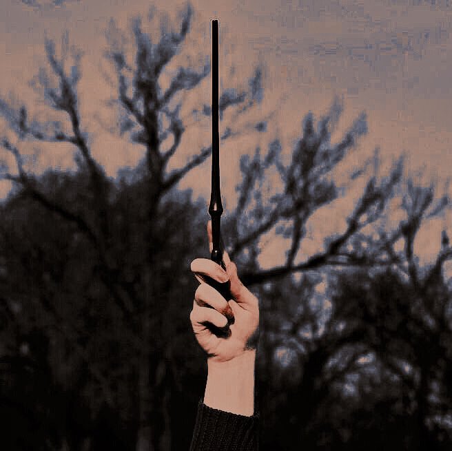 magicumarte's tweet photo. ↳

     ♡ to be enrolled in 
         Wand Crafting 

     ↻ to spread the 
         word https://t.co/YgIOpHoRDz