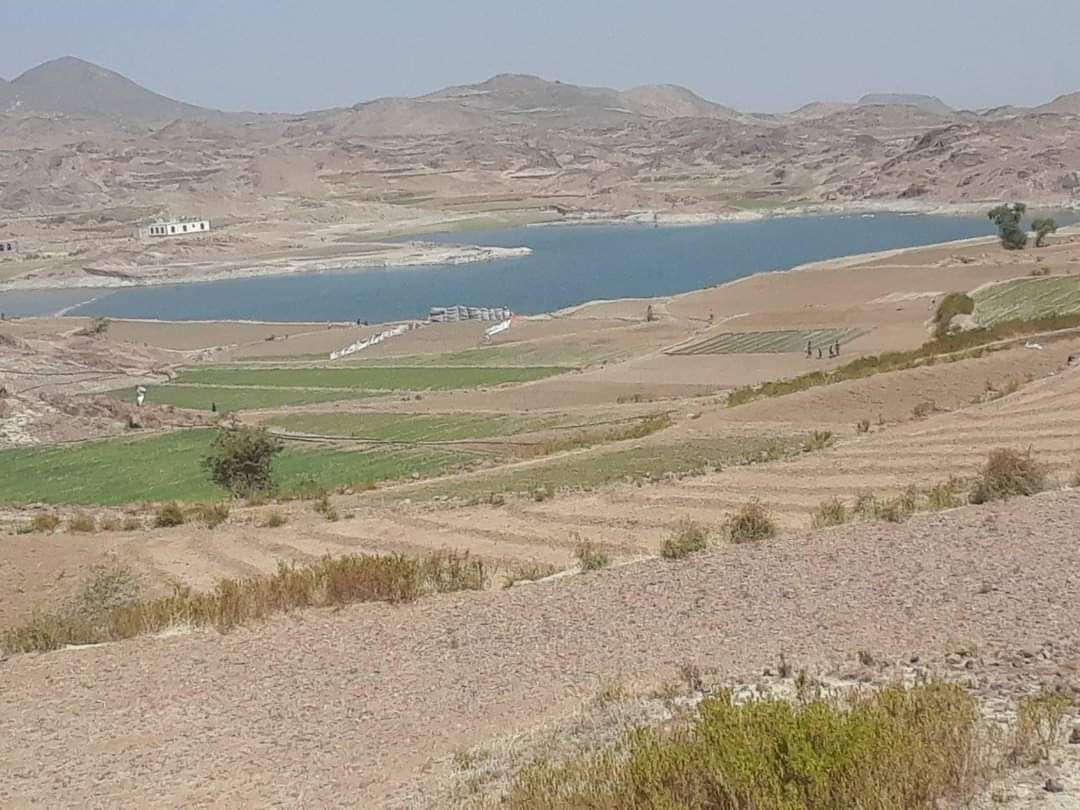 SFDYemen's tweet image. We provide INSPIRING #innovative_solutions to invest #renewable_water #Yemen. Since 2016, we delivered &amp;gt;600 projects creating #rainwater_harvesting tanks, drip irrigation networks, canals, improving watersheds and agricultural terraces system that store rainwater
  #WorldWaterDay