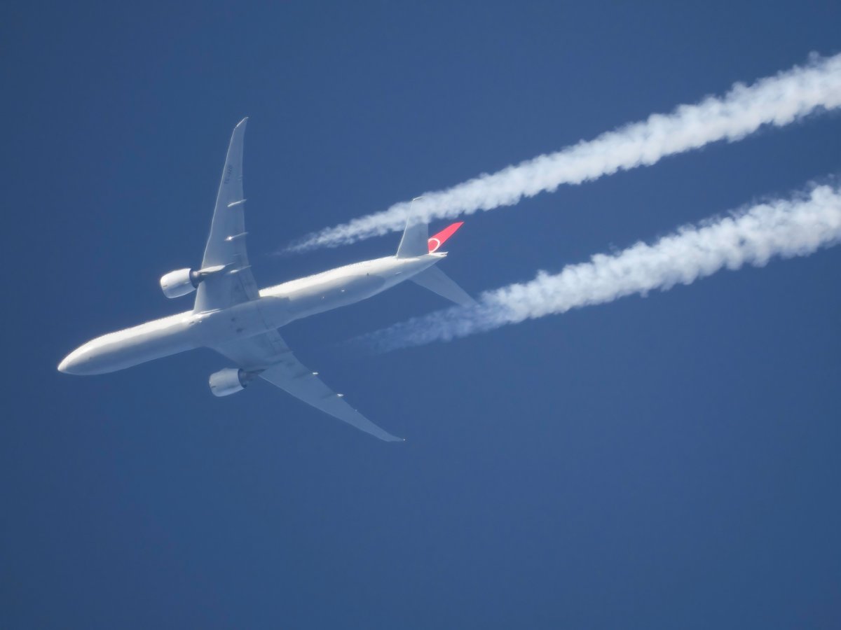 Andy007_SR_A's tweet photo. TC-JJO / #THY1
@TurkishAirlines
#Boeing 777-3F2(ER)
๐๏ธ21-03-2021
โ๏ธFL340
Route: IST > JFK
@igairport @JFKairport https://t.co/VOfVZNpI3X