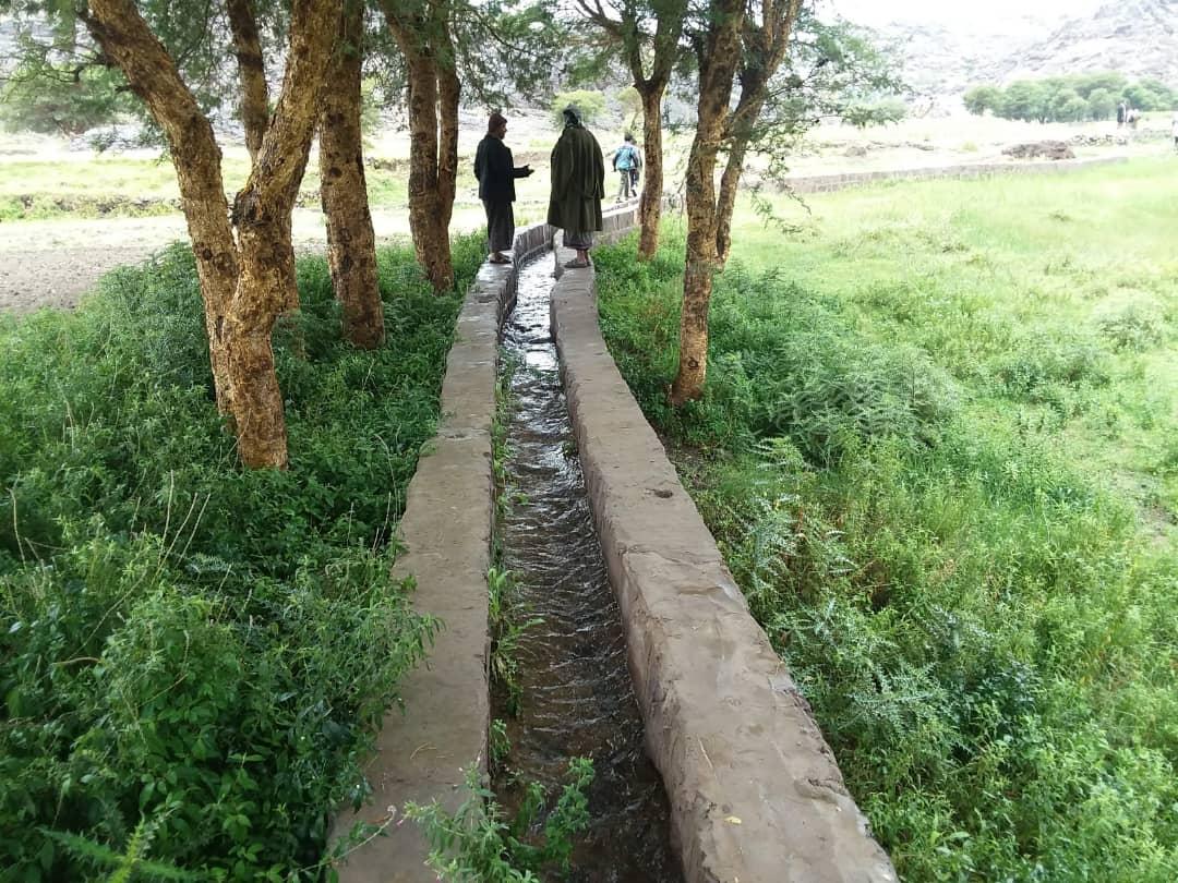 SFDYemen's tweet image. We provide INSPIRING #innovative_solutions to invest #renewable_water #Yemen. Since 2016, we delivered &amp;gt;600 projects creating #rainwater_harvesting tanks, drip irrigation networks, canals, improving watersheds and agricultural terraces system that store rainwater
  #WorldWaterDay