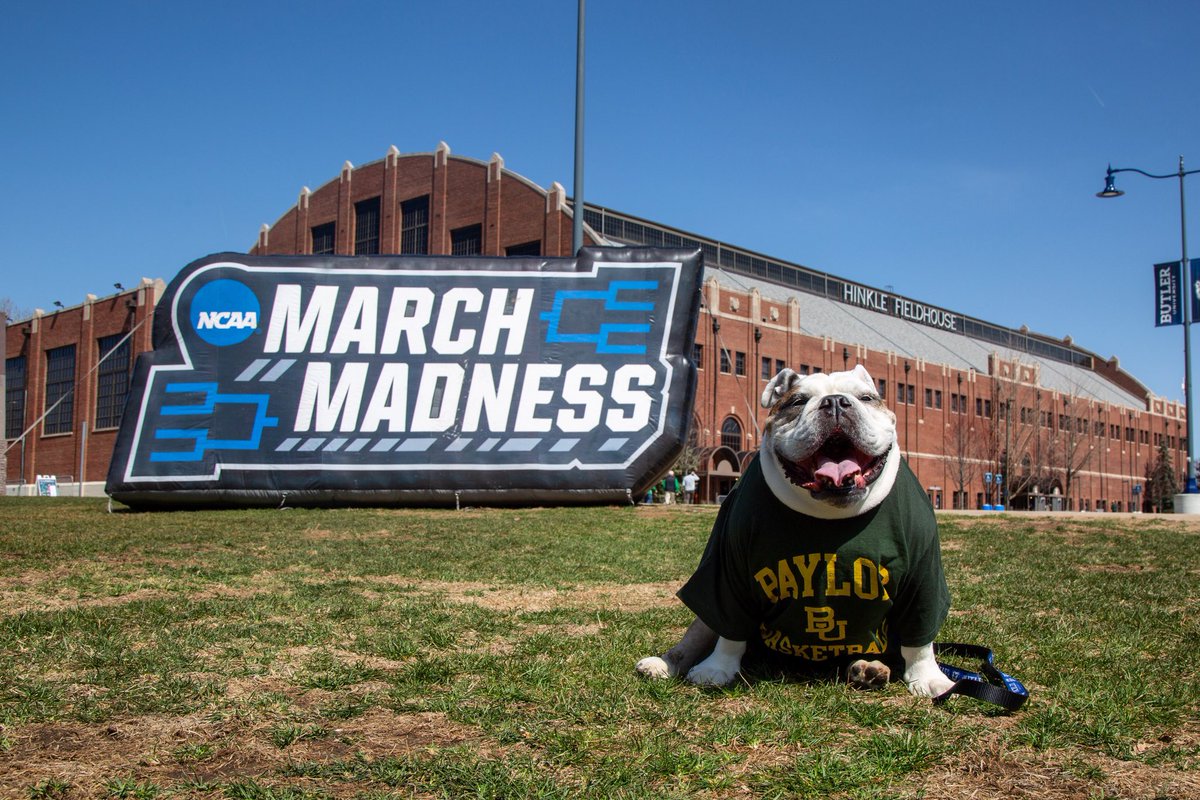 ButlerBlue3's tweet photo. The future is so bright for Judge Joy & Judge Lady, I gotta get some shades! The @bubearhabitat is temporarily Hinkle Fieldhouse this afternoon and it’s my honor to host! Good luck, @BaylorMBB! #TripsPicks | #MayorOfMarch | #MarchMadness https://t.co/BrnyHWkFhb