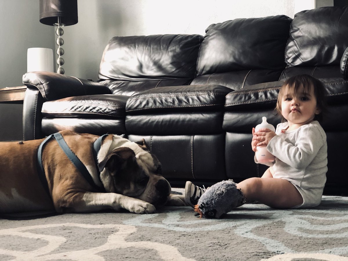 Newbear's tweet photo. The Old Man & The Wee Lass #LyfeWithBully #RuffLyfe #TonkaTyme #No1Stana #SUPERNOVA #SundayFunDay #MarchMadness https://t.co/fdi4BZgKxN