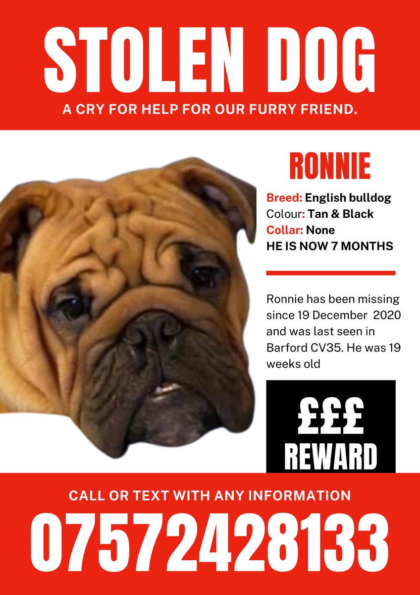 ENOUGH IS ENOUGH!!! 83 more dogs found on a traveller site and Ronnie still not one !!! Where is he ??? STOP MOVING HIM!! WHERE DID HE GO ??? HELP 🆘<a href="/warkspolice/">Warwickshire Police</a> @PCStevens1368 <a href="/BBCCWR/">BBC Coventry & Warwickshire</a> <a href="/itvnews/">ITV News</a> <a href="/MissingPetsGB/">Missing Pets GB</a> @FINDMISSINGDOGS <a href="/BrendaBlethyn/">Brenda Blethyn</a> <a href="/rickygervais/">Ricky Gervais</a> <a href="/NikkiAnne8/">Nikki bradley</a>