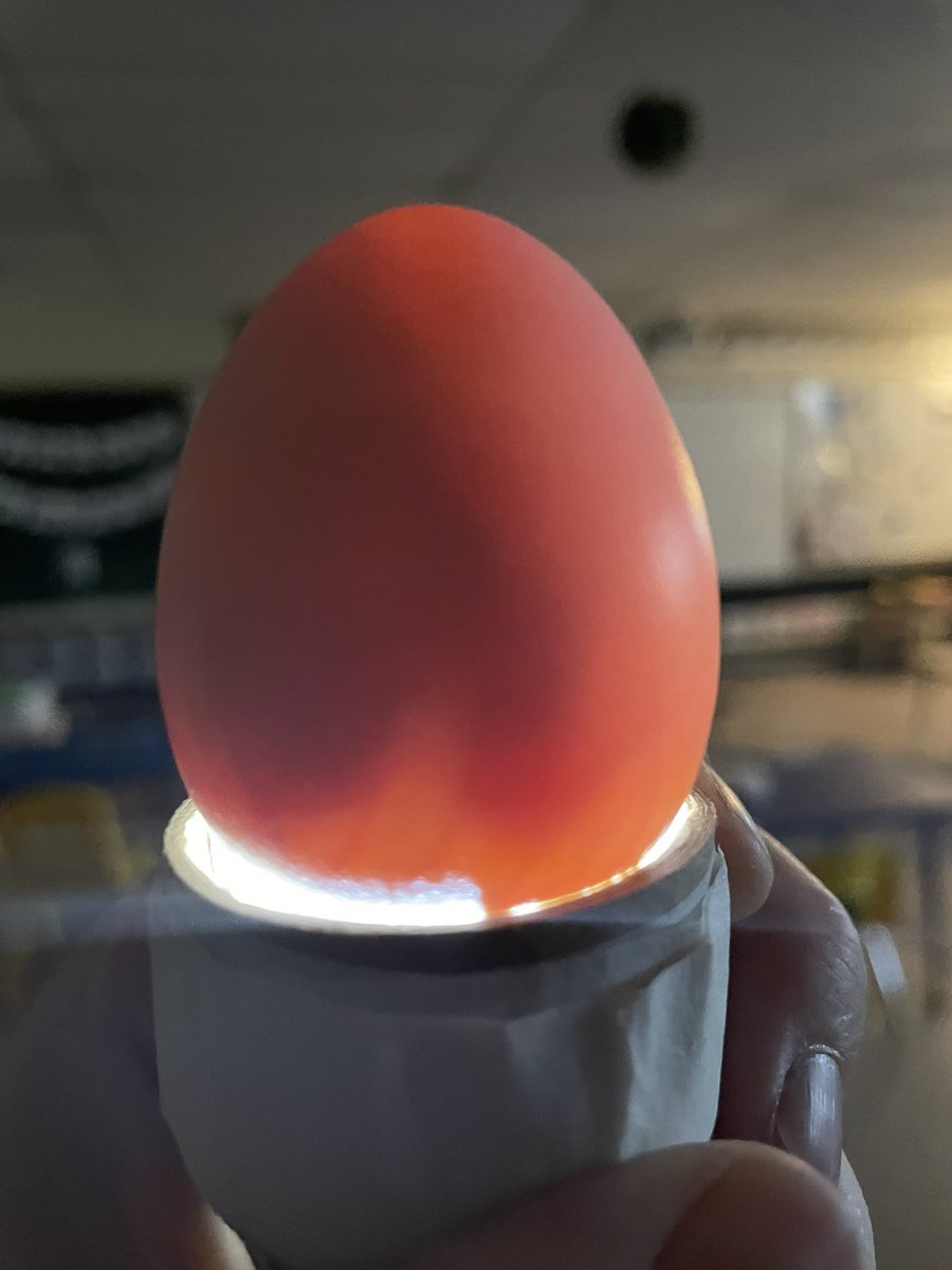 MissB🐝 tweet media