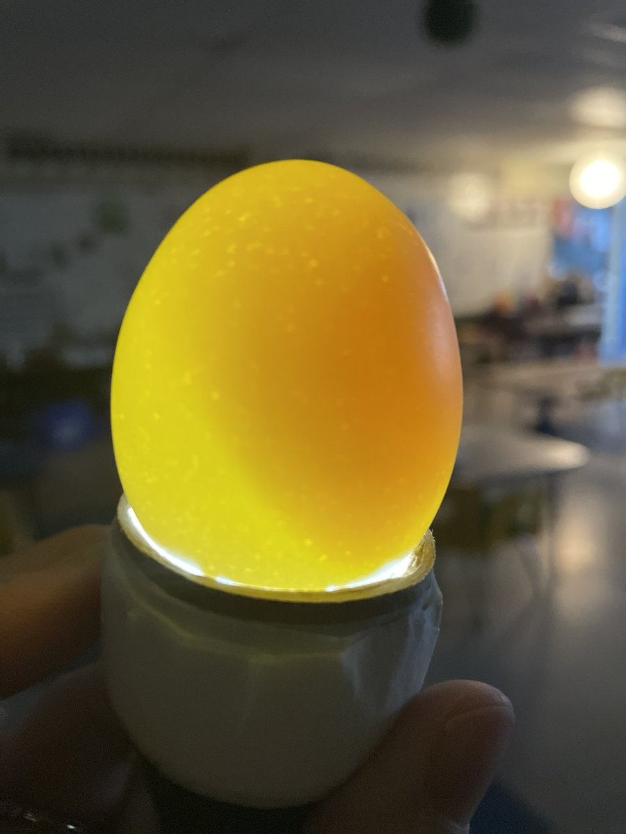 MissB🐝 tweet media