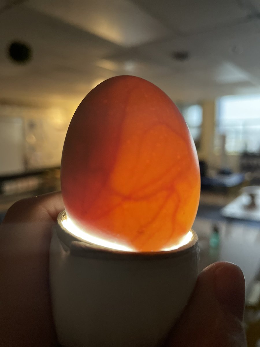 MissB🐝 tweet media