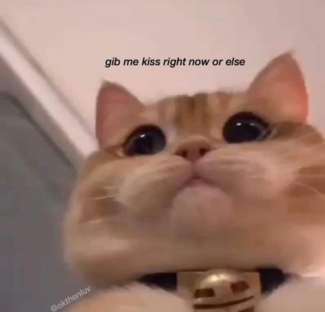 ܠܘܖܥܢ ܞ Loz 🪷 tweet media