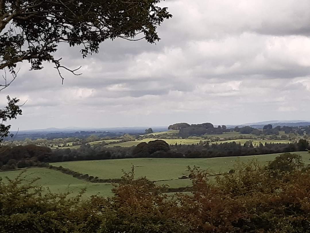 If you missed the feature on the Westmeath Field Names Recording Project on #CreedonsAtlas this evening.  Catch it on@Rte+1at  7:30pm.The Field Names Recording Project is funded by @HeritageHubIRE and @westmeathcoco @NamesField #Westmeath