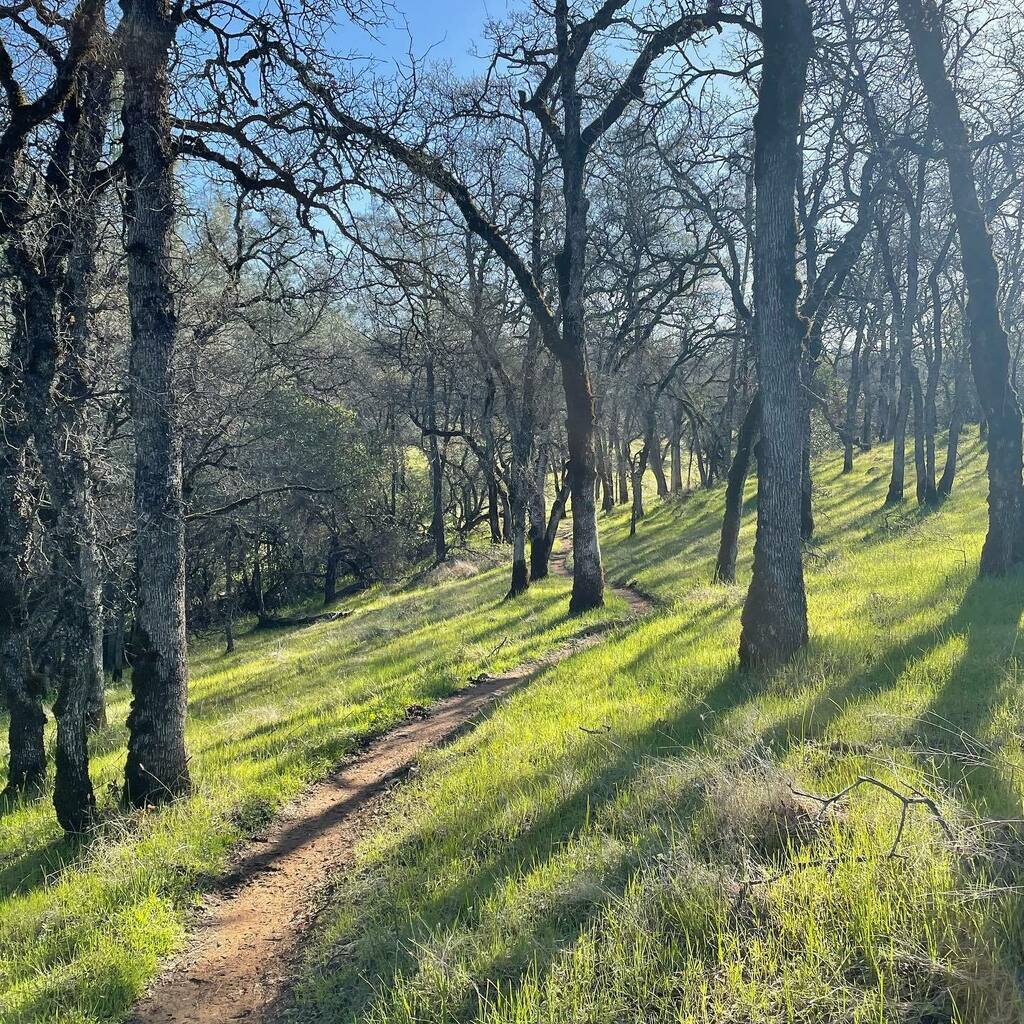 nashdj's tweet photo. “He who thinks too much about every step he takes will always stay on one leg.” -Chinese Proverb

Had an enjoyable trail “run” on the Olmstead loop trail early this morning. :) 

@official_parc thenaturefix #instago #clouds #sky #pictureoftheday #optouts… https://t.co/QPtpiTQ2wF https://t.co/jwC5WO2Z3x