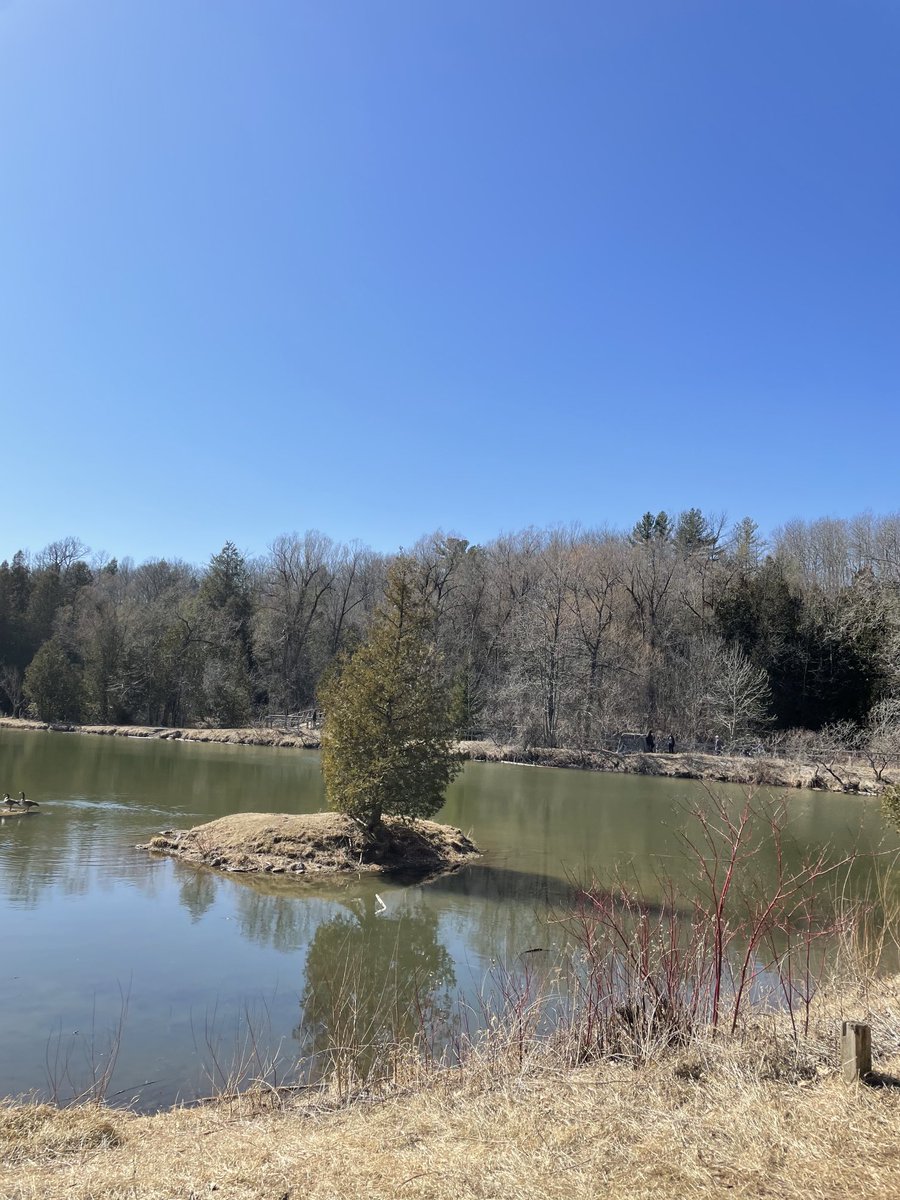 MrsMK2018's tweet photo. Thankful for this #miniexplorer who will always accompany me for Hike and enjoys spending time #outside @CLOCA1 #spring #getoutside #freshair https://t.co/VFDbApkUSs
