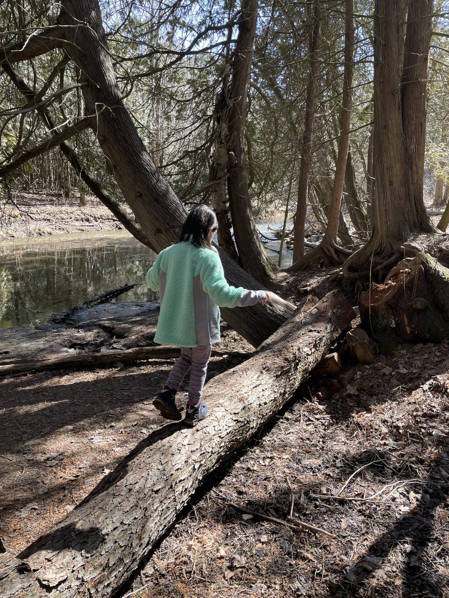 MrsMK2018's tweet photo. Thankful for this #miniexplorer who will always accompany me for Hike and enjoys spending time #outside @CLOCA1 #spring #getoutside #freshair https://t.co/VFDbApkUSs