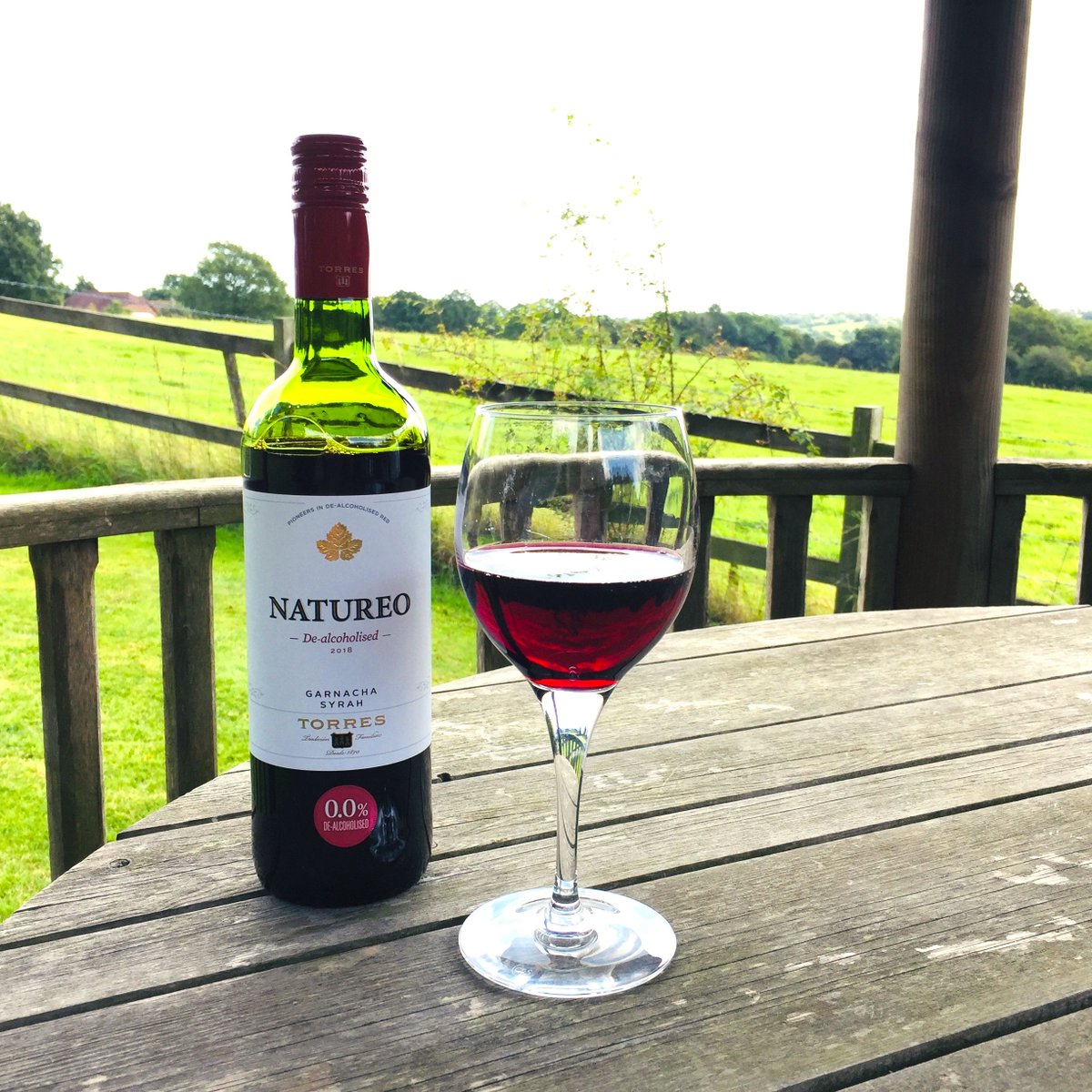 goodstuffdrinks's tweet photo. Sunday evening is the perfect time for a glass of wine. Time to sit down, relax and enjoy the last few hours of the weekend
A glass of red like the @TorresWines Natureo Syrah is perfect ๐ ๐ท
You can enjoy it yourself
https://t.co/3wZG9zkQew
#AlcoholFree #AFWine #NAWine #Wine https://t.co/oa2RslMVbp