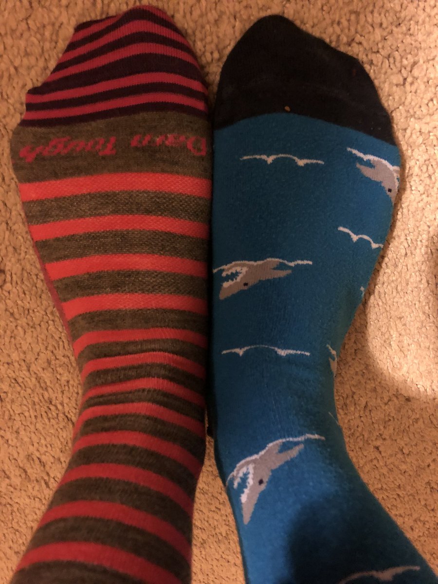 msomemom's tweet photo. @sjbarracuda https://t.co/xbSqfhTy2W