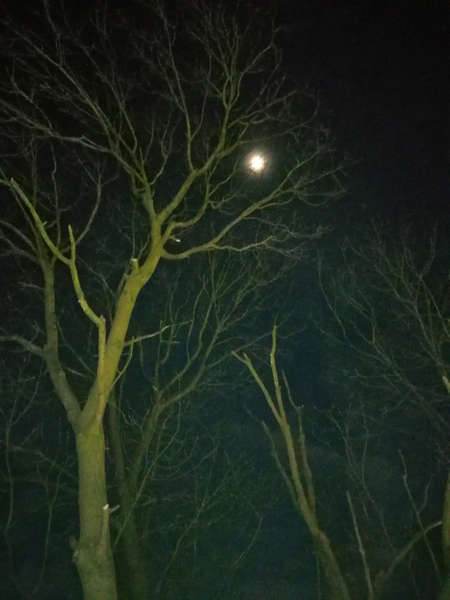 Spooky#