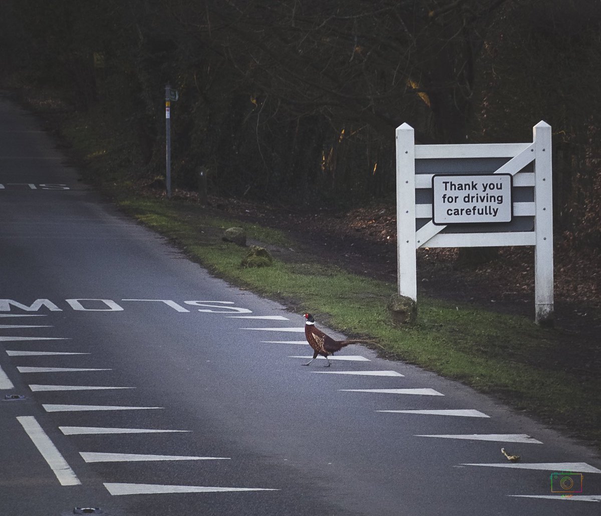 HuntersManual's tweet photo. @thefamousgrouse when the world slaps you with a visual metaphor 🤔 https://t.co/Lcx2HCqzPW