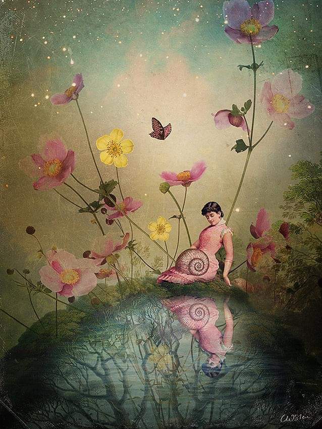 DyspraxiaL's tweet photo. @NancyDoylePsych @TweetsByBilal “One of the greatest tragedies in life is to lose your own sense of self and accept the version of you that is expected by everyone else.”
K.L. Toth
Catrin Welz Stein
#ravenousbutterflies #kltoth #catrinwelzsteinart https://t.co/9aD8G2hSxT