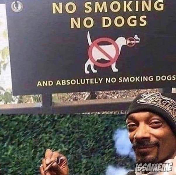 IssaMemePapi's tweet image. Nosmoke nodogs.
.
.
.
.
.
.
#issameme #memes #memesdaily #dankmemes  #funnymemes #offensivememes #edgymemes #dailymemes #spicymemes #fortnitememes #bestmemes #btsmemes #tiktokmemes #memesfunny #memesdank #likes4like #followforfollow #followback

beacons.page/issameme