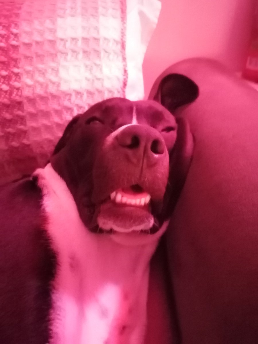 Uytum tilti uytusu gibidiy çıt çıtsa uyanırım