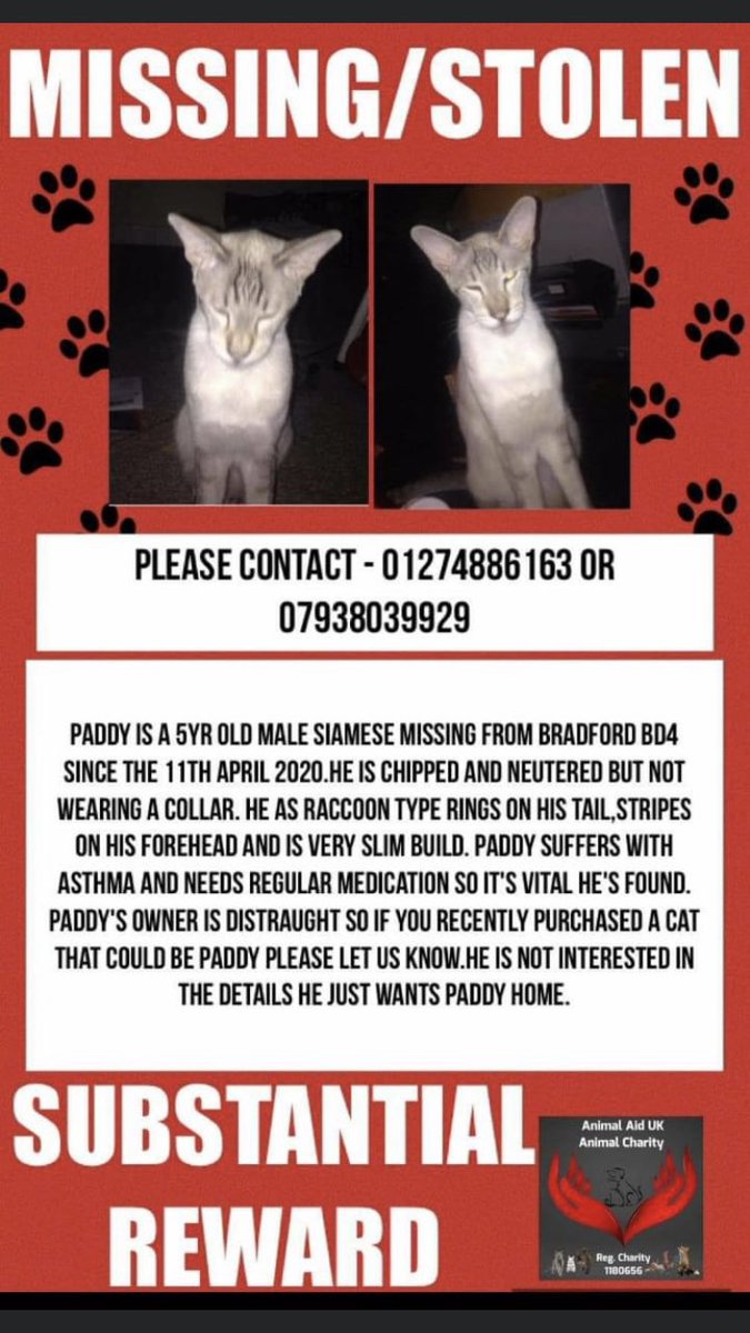 RachaelB100's tweet photo. #MissingCatsDay #PetTheftAwarenessWeek 
#findPaddy
 #Missing #Stolen 
11/4/20
#Siamese #Bradford #BD4
#Chipped #neutered 
❗️ Needs Urgent Medication
❗️Help him home 🙏
❗️Did you find him?#TheftByFinding
❗️Have you seen a cat like him In your Area?

https://t.co/q2In0yPeXD https://t.co/PVbG6mEA3h