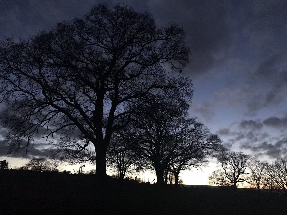 finstumpf's tweet photo. Now came still evening on, and twilight grey had in all her sober livery all things clad
Milton (not Keynes the other one)
@MorningAber @LoveYFenni @VisitAberG @MonmouthshireCC @visit_mon @MonCountryside
#walkinwinter @RamblersCymru https://t.co/tymBpqfCS9