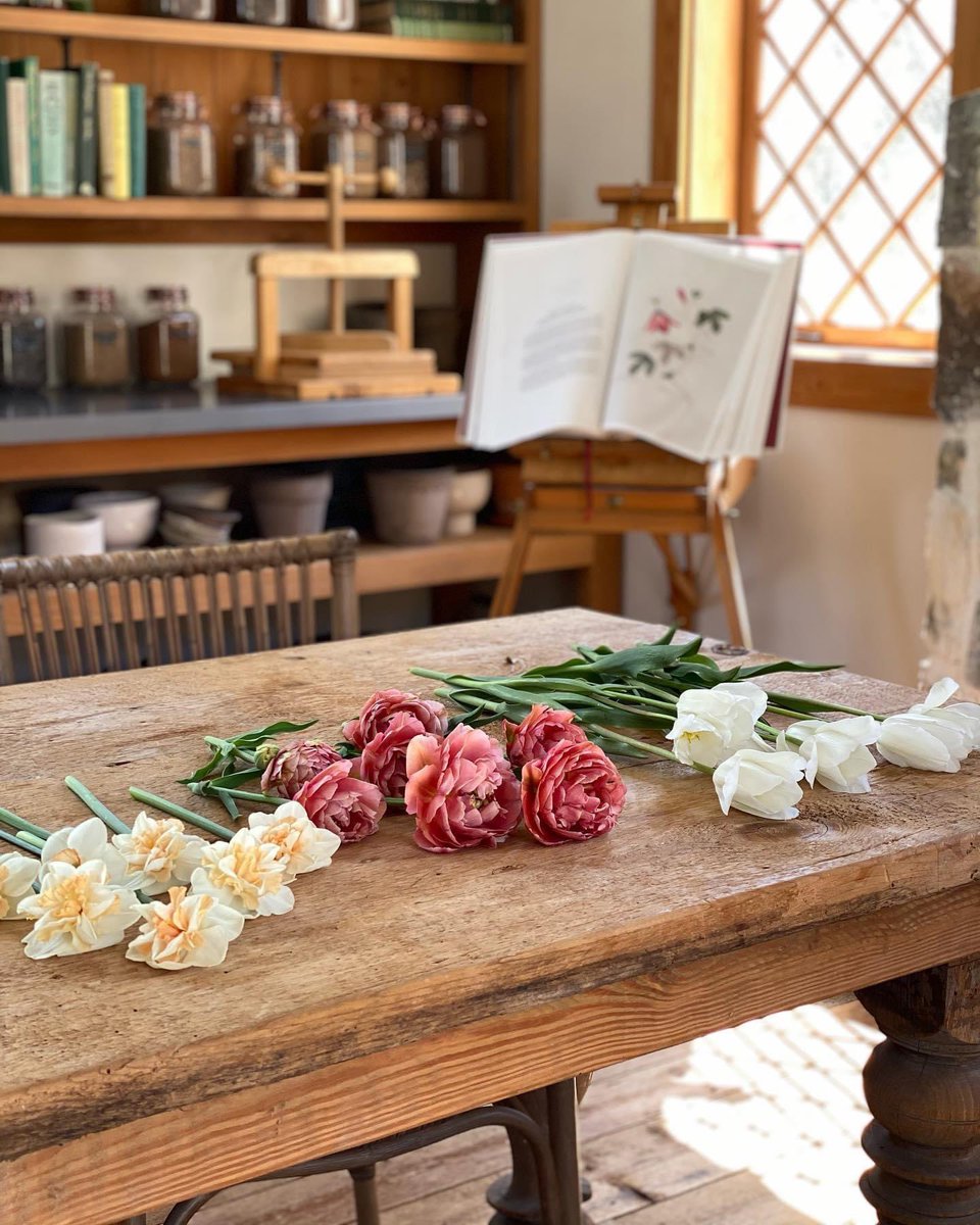 joannagaines's tweet photo. It's a picking and painting kind of Sunday 🌷 https://t.co/ApxJT9L4NO