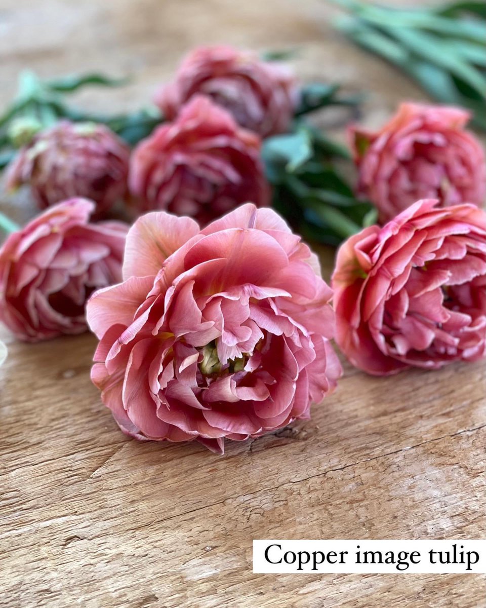 joannagaines's tweet photo. It's a picking and painting kind of Sunday 🌷 https://t.co/ApxJT9L4NO