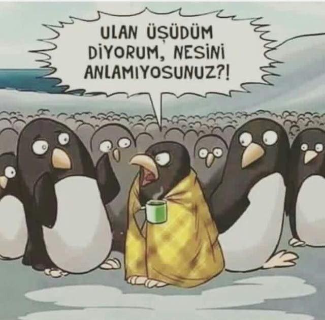 melisozn's tweet photo. Bu ara bu şekil https://t.co/NcX2BRHjDs