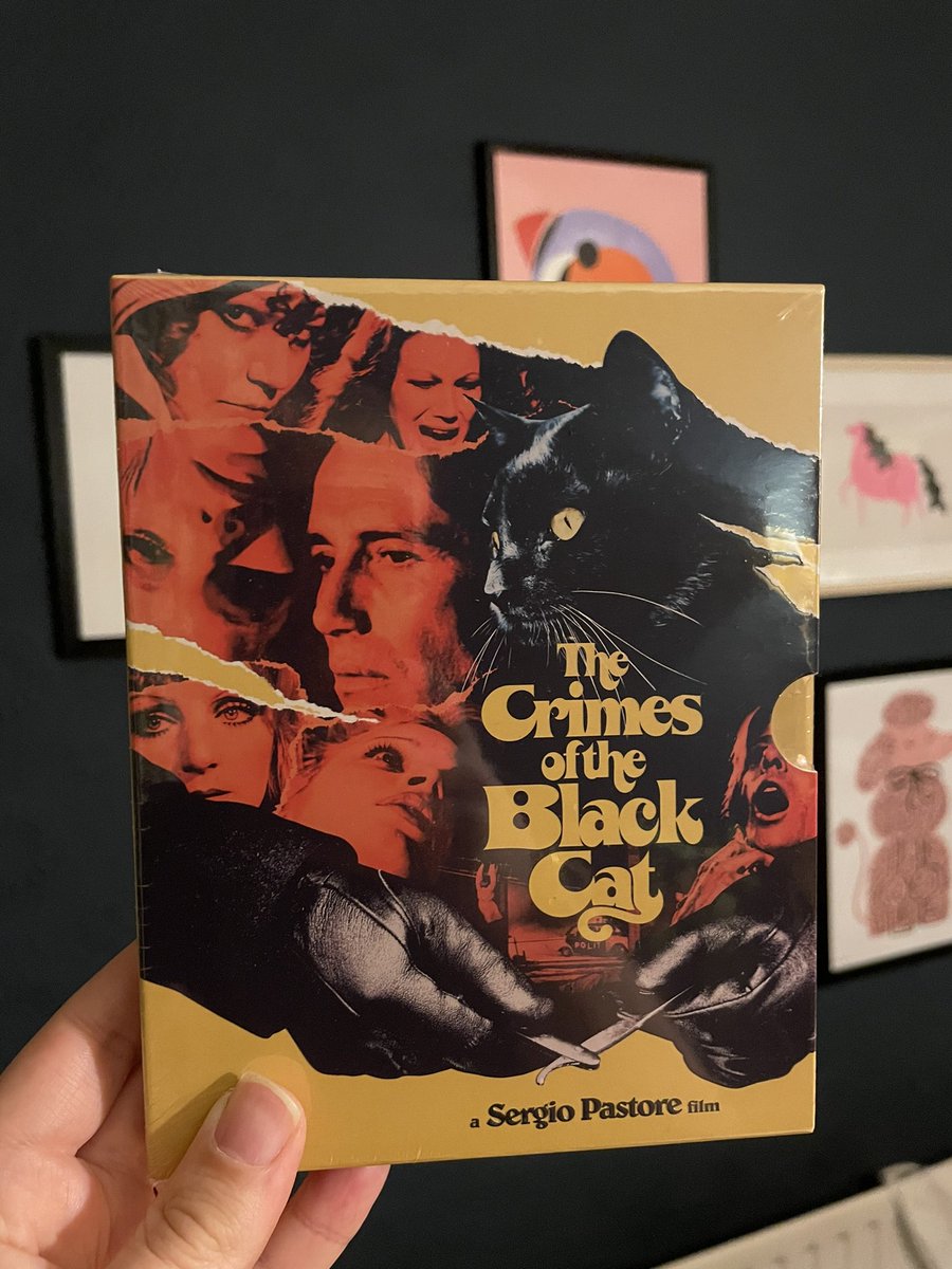 Biliousfogg's tweet image. Looking forward to finally watching this, tanks to @CauldronFilms and @diabolikdvd #giallo #italianhorror #cauldronfilms