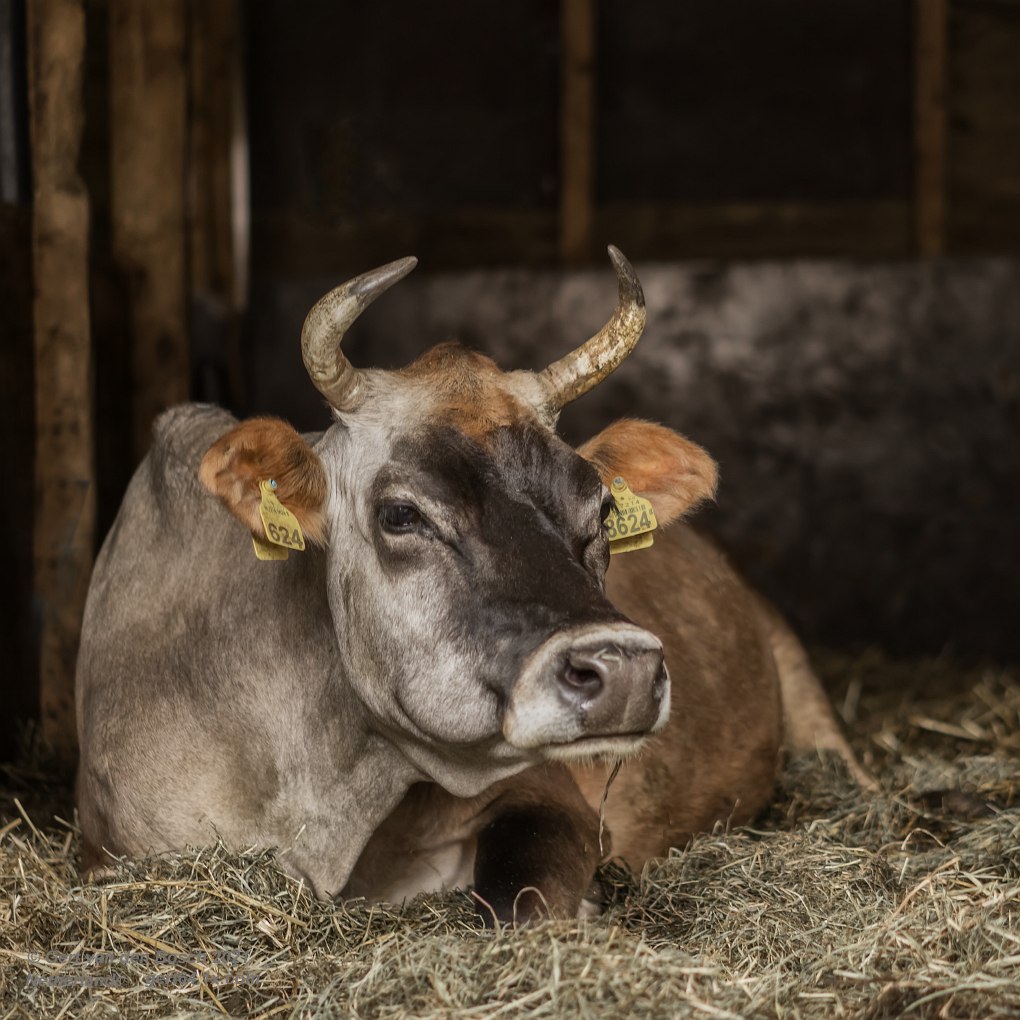 Relax <a href="/JacobBeeker/">Jacob Beeker</a>