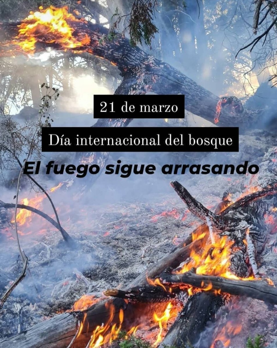 Lauri Poro (@porolauri) on Twitter photo 