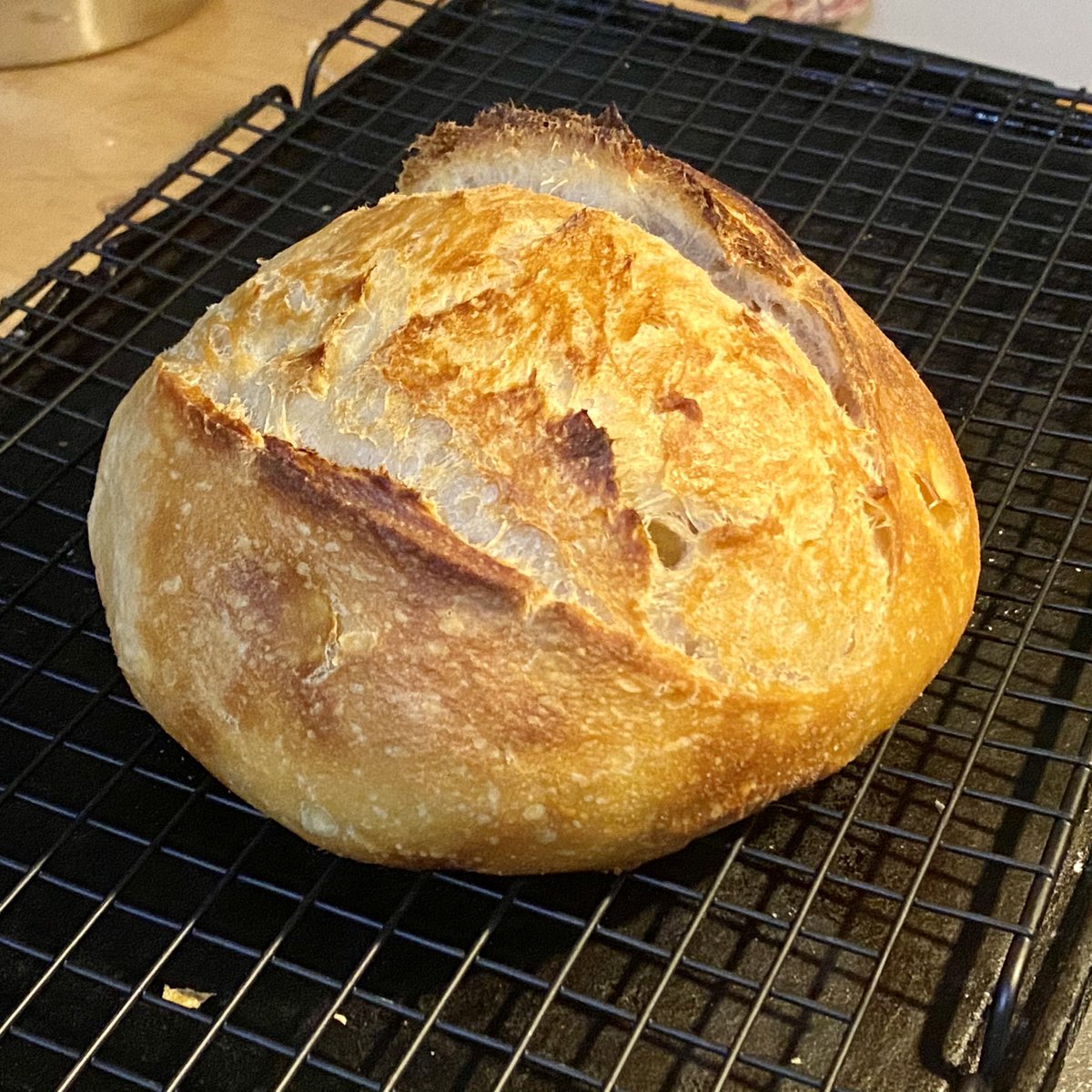 cjchiu's tweet photo. Sunday Sourdough Boule #DocsWhoBake https://t.co/7gcgnkQiFE