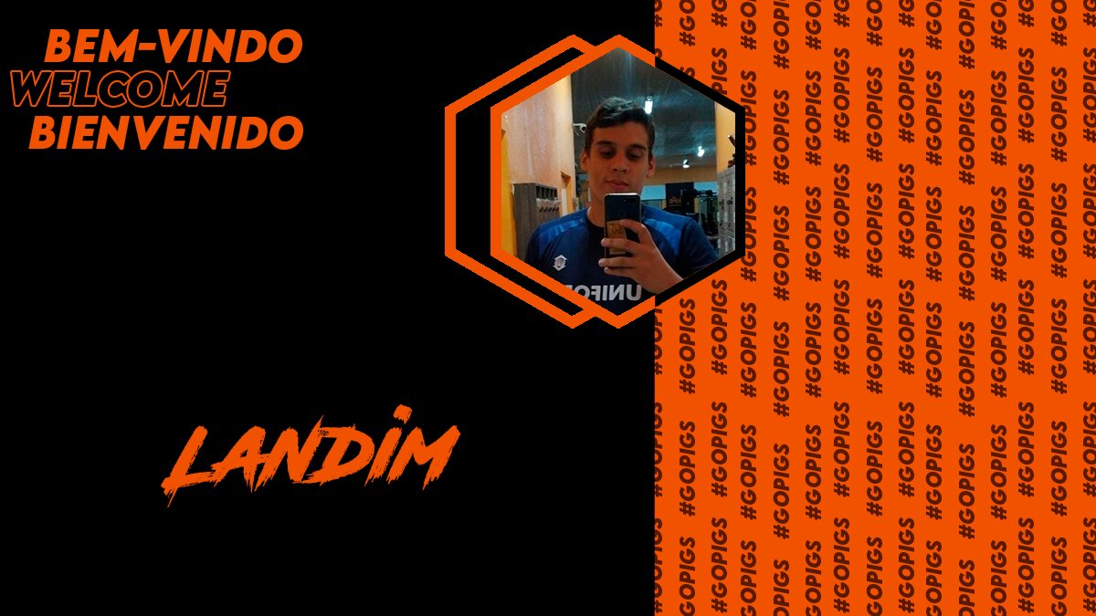 Pigs InGame tweet media