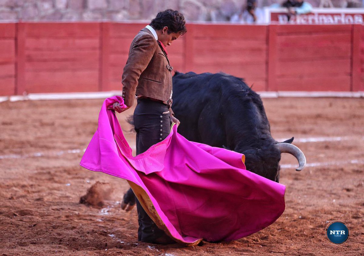 ntrtoros's tweet photo. #Zacatecas 🇲🇽 Dos orejas tras una faena rotunda de Leo Valadez que lució en los tres tercios ante la calidad del cierra plaza de nombre “Lírico”, de Jaral de Peñas que fue merecedor del arrastre lento #somosntrtoros 

📷 @FOTOBRIONES / NTR Toros https://t.co/syhFyJYpD5