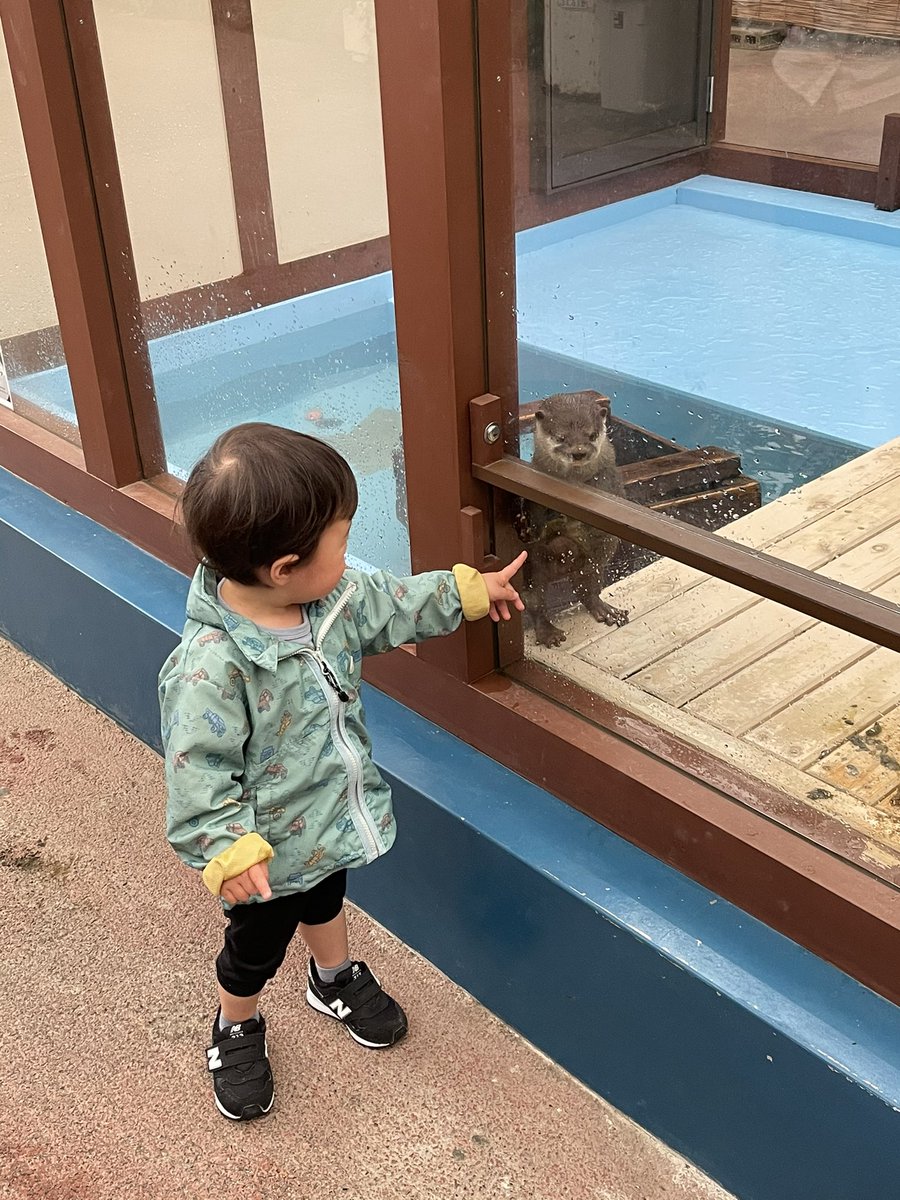 かわいすぎ 伊勢シーパラダイスのイルカくん 赤ちゃんに対するファンサがすごい イルカは賢いな めっちゃいい笑顔 Togetter