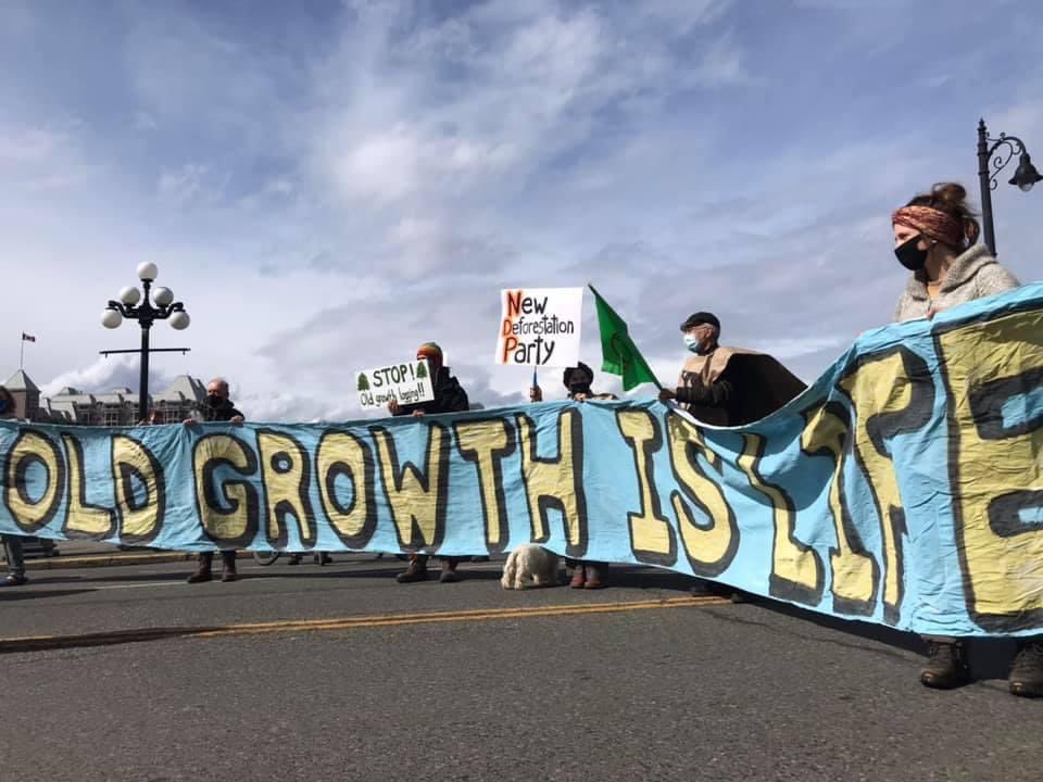 bcforestmarch's tweet photo. On Friday, people from approximately 30 communities across BC came out to show their support for our wilderness during one of the biggest single-day acts of solidarity for BC’s forests. https://t.co/DDxraBWQwu