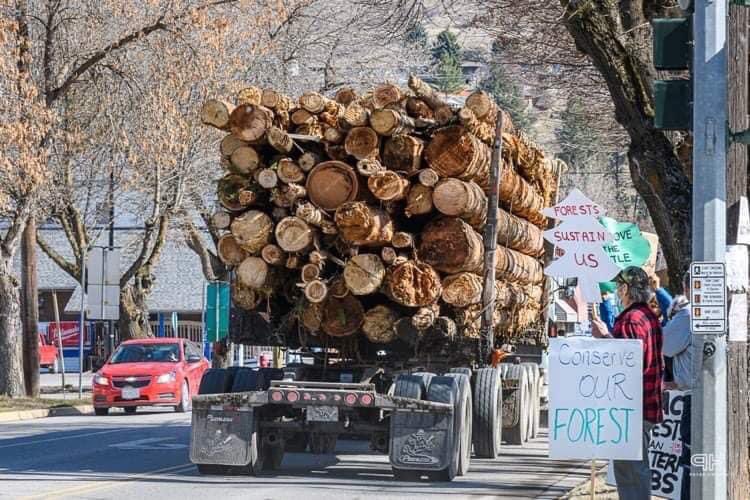 bcforestmarch's tweet photo. On Friday, people from approximately 30 communities across BC came out to show their support for our wilderness during one of the biggest single-day acts of solidarity for BC’s forests. https://t.co/DDxraBWQwu