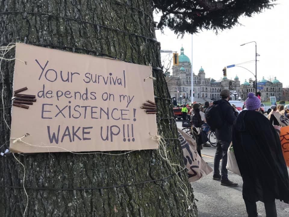 bcforestmarch's tweet photo. To everyone who participated, whether in-person or online, we say THANK YOU for your relentless commitment to telling the BC government that our ancient woodlands are #WorthMoreStanding ❤️🌲 https://t.co/8wQ1QwjhCy