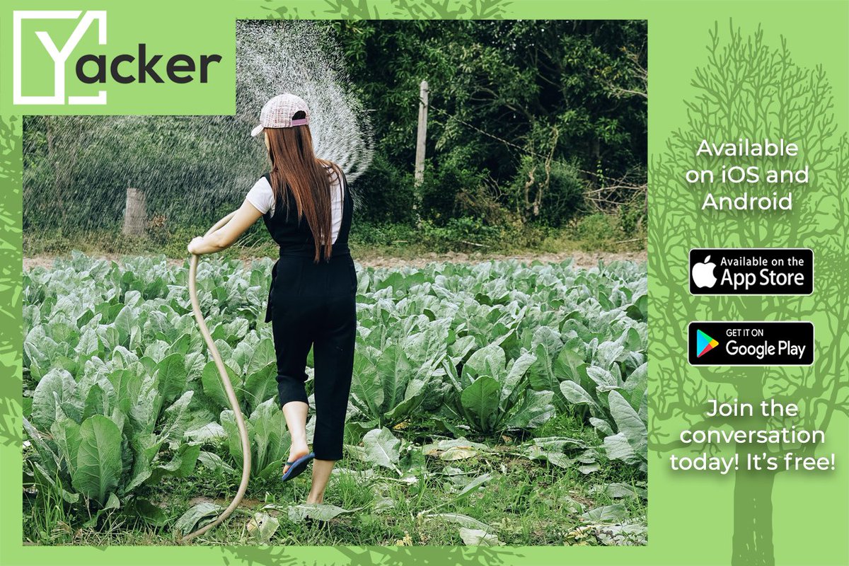 YackerApp's tweet photo. Community isn’t about just being close geographically! Come #CreateRealConnections on #Yacker, the only social media
platform designed for #agriculture. Download and learn more at https://t.co/Z2jqsGPlzJ https://t.co/AFVPYYoGJS