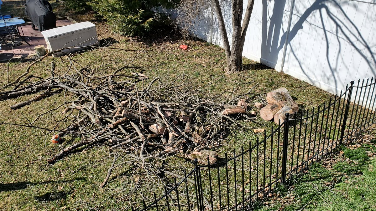 TJBarranger's tweet photo. Took down two dead dogwoods in the side yard this afternoon. Should keep the fire pit fueled for a while. #TJBWeekend https://t.co/Um7GfA51mG