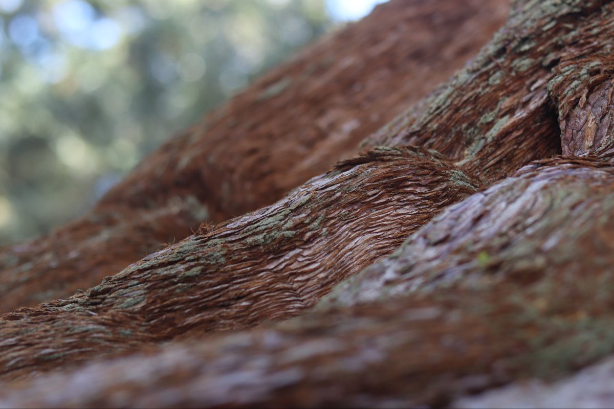 interrogami tweet media