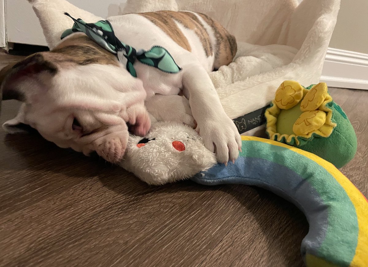 HandsomeDanYale's tweet photo. Sometimes friends, you just have to tell yourself, "I AM the pot of gold at the end of the rainbow."  🌈 #latenightthoughts https://t.co/gBQDjiFURD
